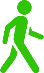 Bright Minds Brain Health Exercise