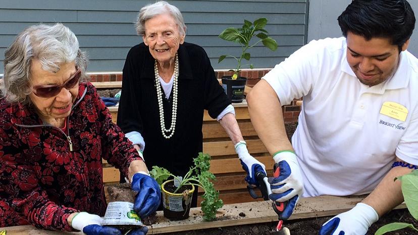 Brightview Senior Living Jobs and Assisted Living Jobs