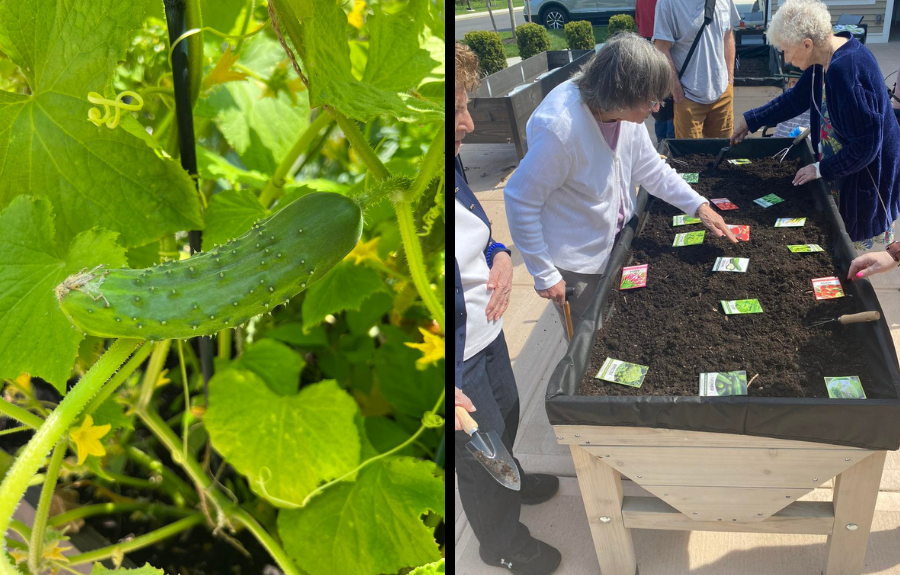 Brightview Resident Gardening