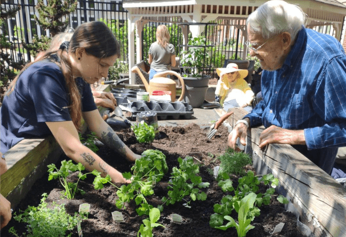 Gardening on the Brightview patio