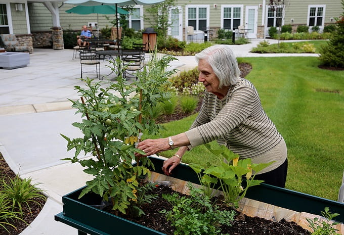 Garden