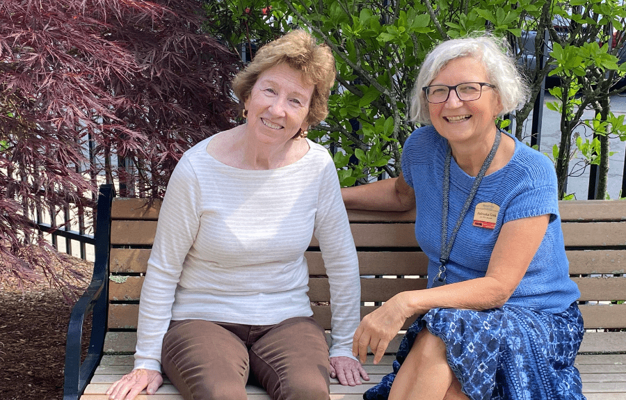 Strategizing for Success Jadranka Grek Cicovacki, Wellspring Village