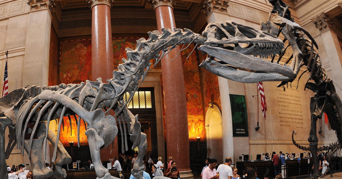 AMNH
