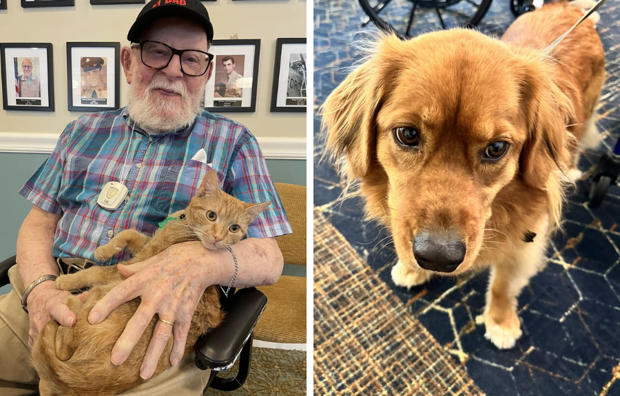 Pets at Brightview Senior Living