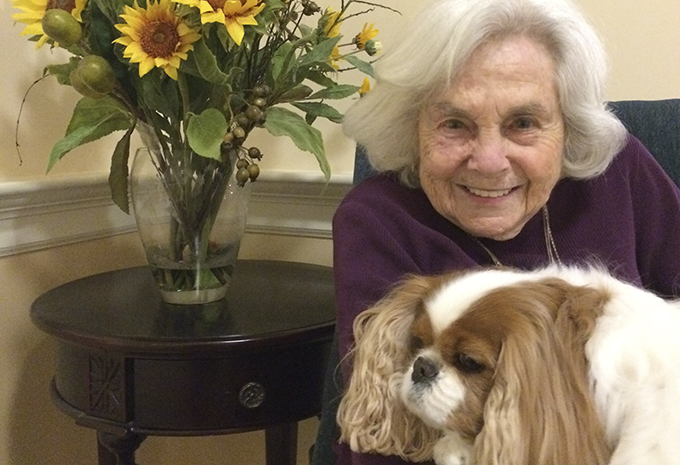 Pet Therapy for the Elderly