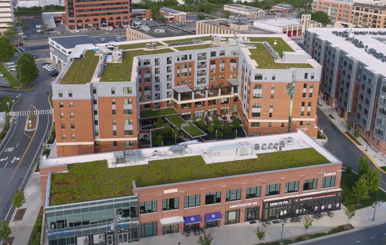 Green roof on an urban building
