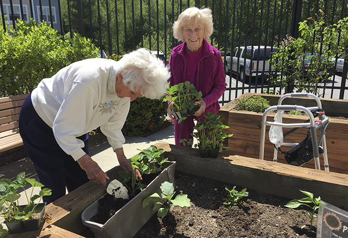 Brightview Wellspring Village Memory Care Residents gardening in back patio